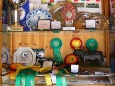 Diese umfangreiche Medaillen- und Ehrenpreise-Sammlung ist der Lohn für 15 Jahre Anguszüchtung und kann im Bauernladen bewundert werden!